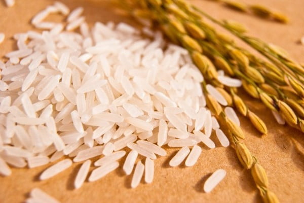 https://shp.aradbranding.com/خرید و قیمت برنج ایرانی استخوانی + فروش صادراتی